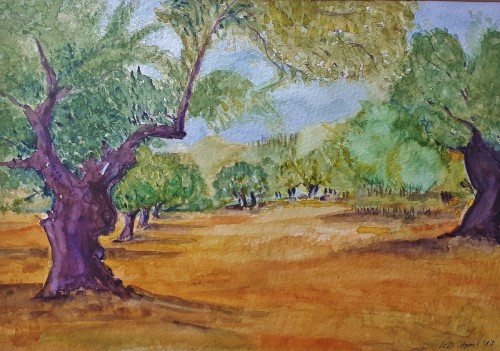 Olivenhain bei En Hod, 2016, Aquarell
